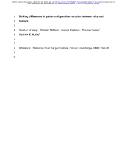 Striking differences in patterns of germline mutation