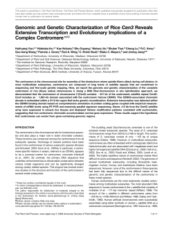 Genomic and Genetic Characterization of Rice Cen3 Reveals
