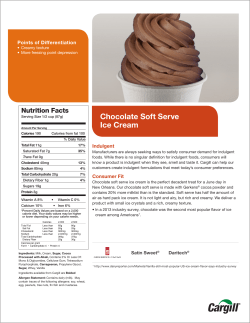 Chocolate Soft Serve Ice Cream
