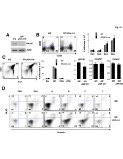 Supplemental Figures 1