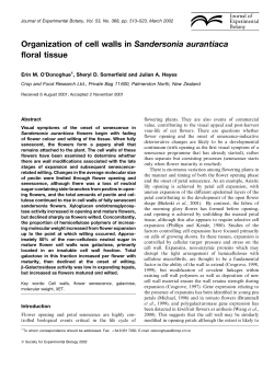 Organization of cell walls in Sandersonia aurantiaca floral tissue