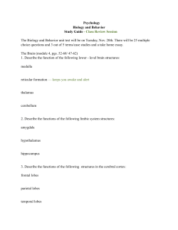 brain study guide with notes