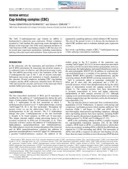 Cap-binding complex (CBC)
