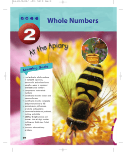 Multiplying Whole Numbers