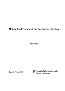 &Scaron;ablona -- Diplomov&aacute; pr&aacute;ce