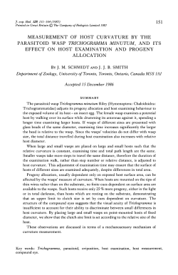 measurement of host curvature by the parasitoid wasp trichogramma