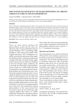 THE WATER USE EFFICIENCY OF MAIZE DEPENDING ON