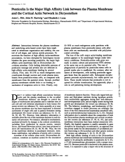 Ponticulin Is the Major High Affinity Link between the Plasma