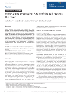 mRNA 3end processing - EMBO Molecular Medicine