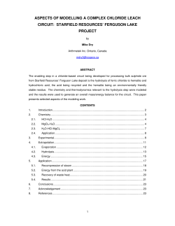 aspects of modelling a complex chloride leach circuit
