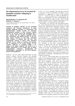 Developmental process of essential oil glandular trichome