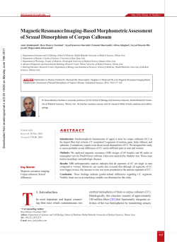 Magnetic Resonance Imaging-Based Morphometric Assessment of