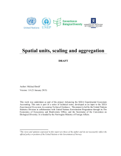 Spatial units, scaling and aggregation