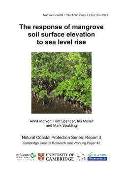 The response of mangrove soil surface elevation to sea level rise