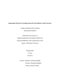 b. Food Industry in China - Worcester Polytechnic Institute