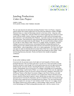 Color Line Project - Animating Democracy