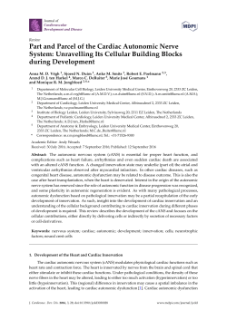Part and Parcel of the Cardiac Autonomic Nerve System