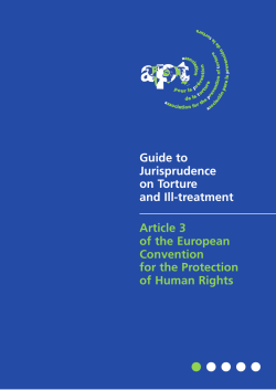 Guide to Jurisprudence on Torture and Ill-Treatment