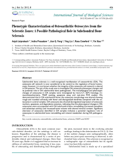 Phenotypic Characterization of Osteoarthritic Osteocytes from the