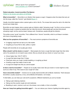 Patient education: Acute bronchitis (The Basics)