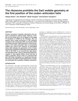 The ribosome prohibits the G&bull;U wobble geometry at the first position