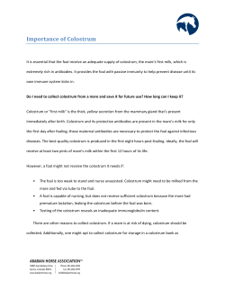 Importance of Colostrum - Arabian Horse Association