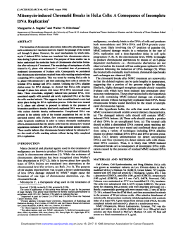 Mitomycin-induced Chromatid Breaks in HeLa