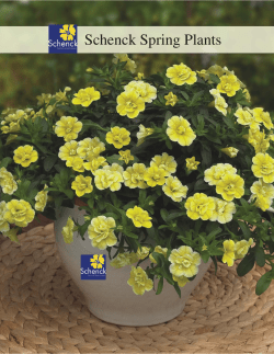 Schenck Spring Plants