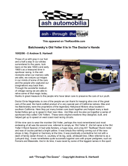 Balchowsky`s Old Yeller II Is In The Doctor`s Hands