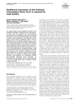Epididymal expression of the forkhead transcription factor Foxi1 is