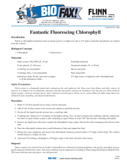BF#10599 Fantastic Fluorescing Chlorophyll