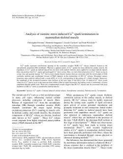 Analysis of osmotic stress induced Ca spark termination in