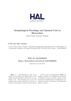 Morphological Floodings and Optimal Cuts in Hierarchies