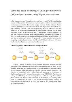 Label-free SERS monitoring of small gold nanoparticle (NP