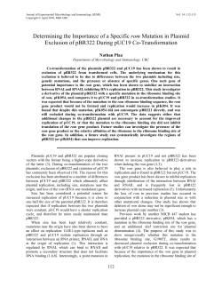 Determining the importance of a specific rop mutation in plasmid