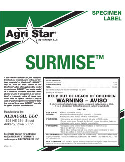110221 Surmise specimen