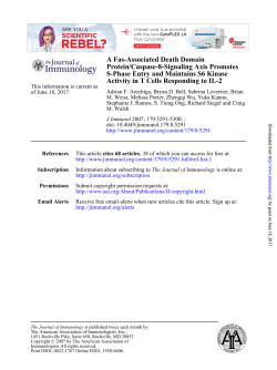 Activity in T Cells Responding to IL-2 S