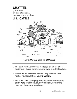 Lesson 3 - SAT org - Thomas C. Cario Middle School