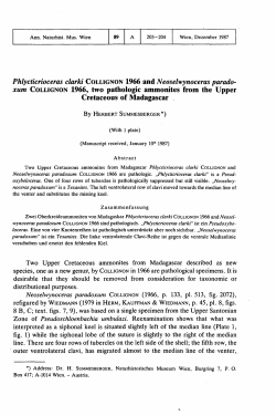 Phlycticnoceras clarki COLLIGNON 1966 andNeoselwynoceras