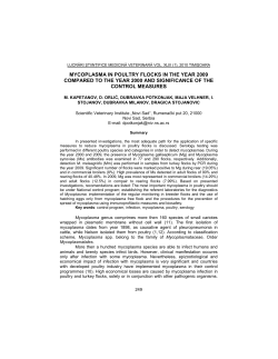 mycoplasma in poultry flocks in the year 2009 compared to the year
