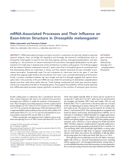 mRNA-Associated Processes and Their Influence on Exon