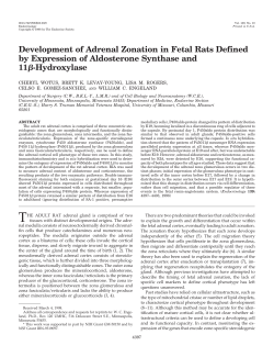 Development of Adrenal Zonation in Fetal Rats Defined by