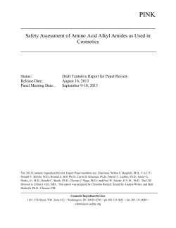 Safety Assessment of Amino Acid Alkyl Amides as Used