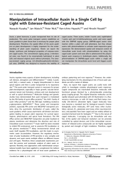 Manipulation of Intracellular Auxin in a Single Cell by Light with