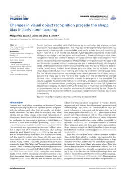 Changes in visual object recognition precede the shape bias in