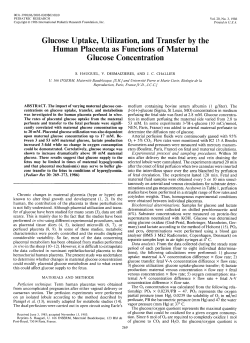 Glucose Uptake, Utilization, and Transfer by the Human Placenta as