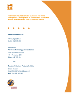 Framework Foundation and Guidance For Tier 2 Site