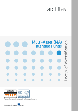 Levels of diversification Multi-Asset (MA) Blended Funds