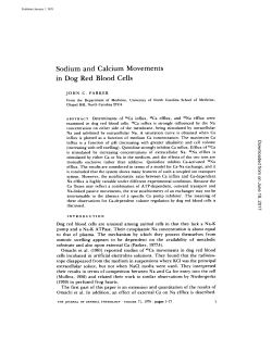Sodium and Calcium Movements in Dog Red Blood Cells