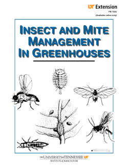insect and mite management in greenhouses